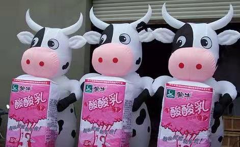 化州牛奶厂广告气模